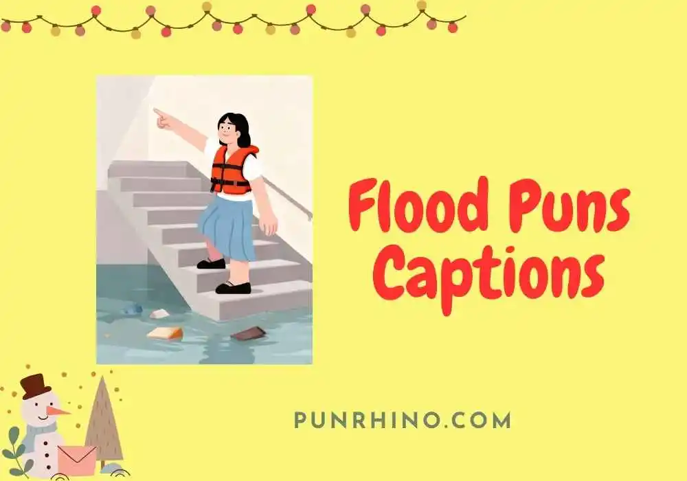 Flood Puns Captions