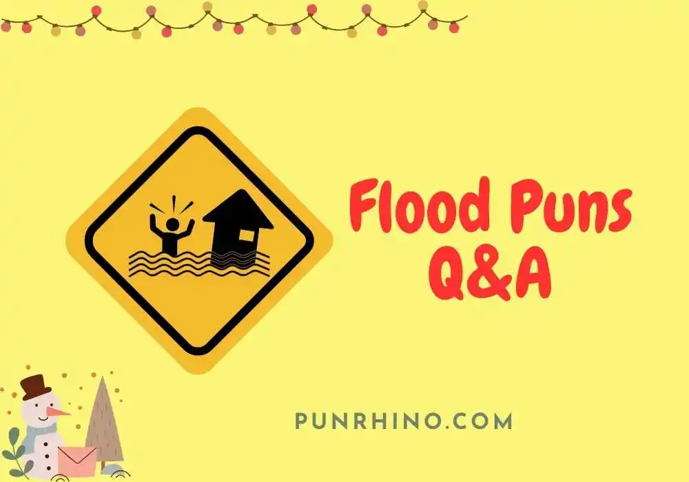 Flood Puns Q&A