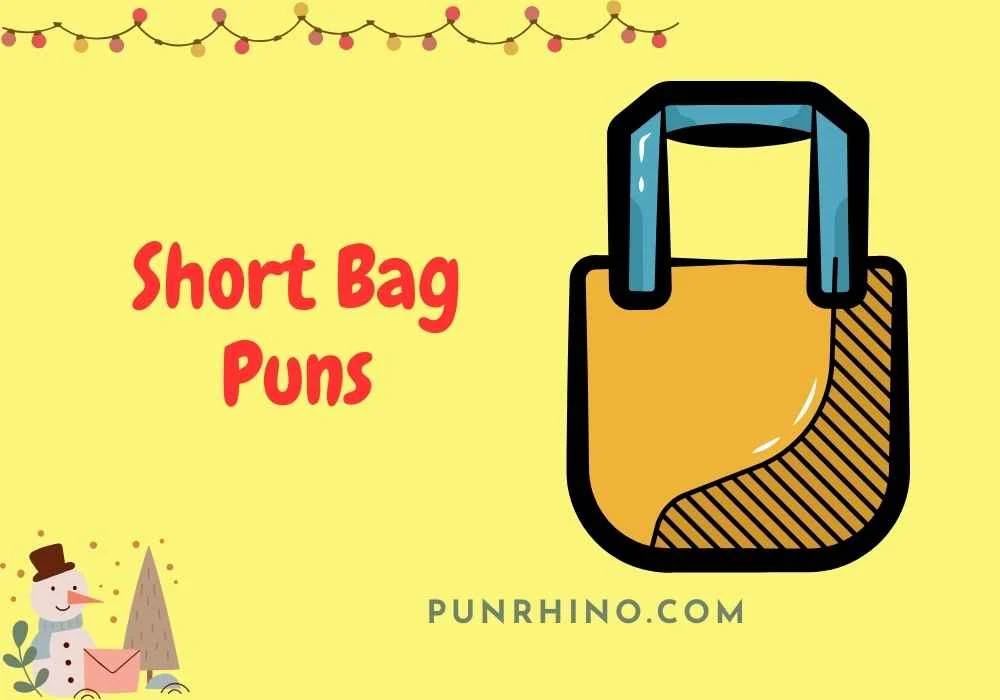 Short Bag Puns