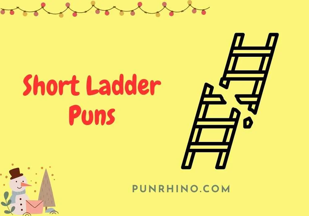Short Ladder Puns