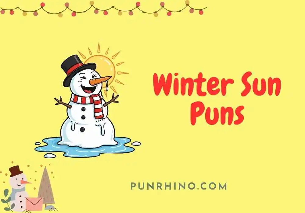 Winter Sun Puns