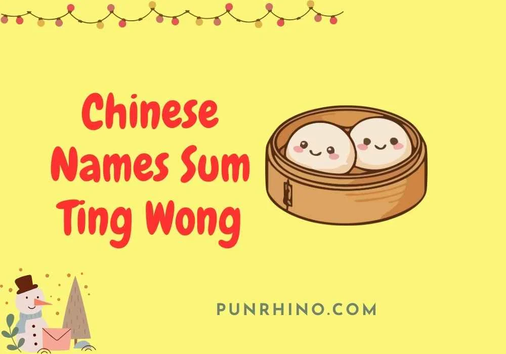 Chinese Names Sum Ting Wong