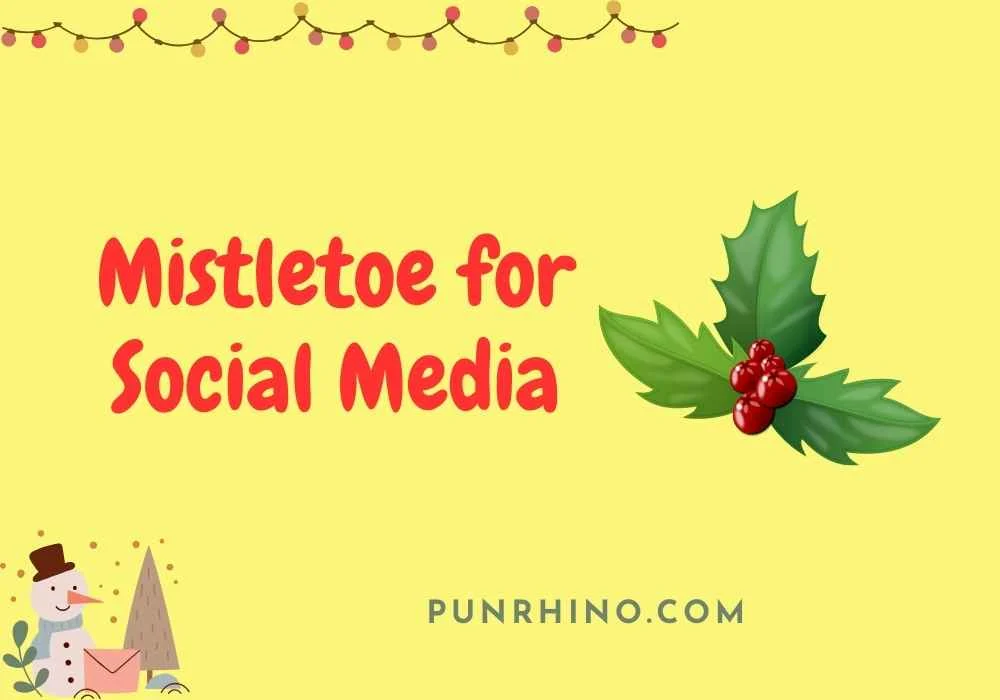 Mistletoe for Social Media