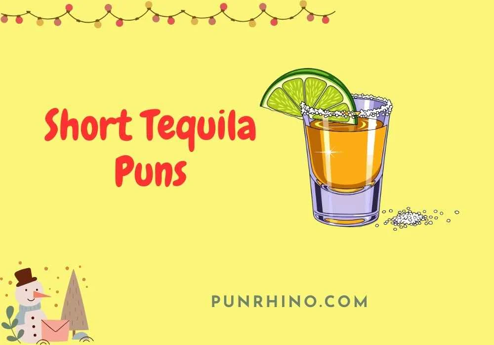 Short Tequila Puns