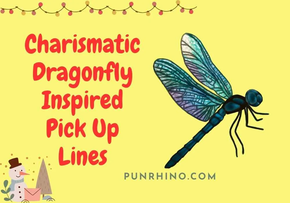 Charismatic Dragonfly Inspired Pick-Up Lines