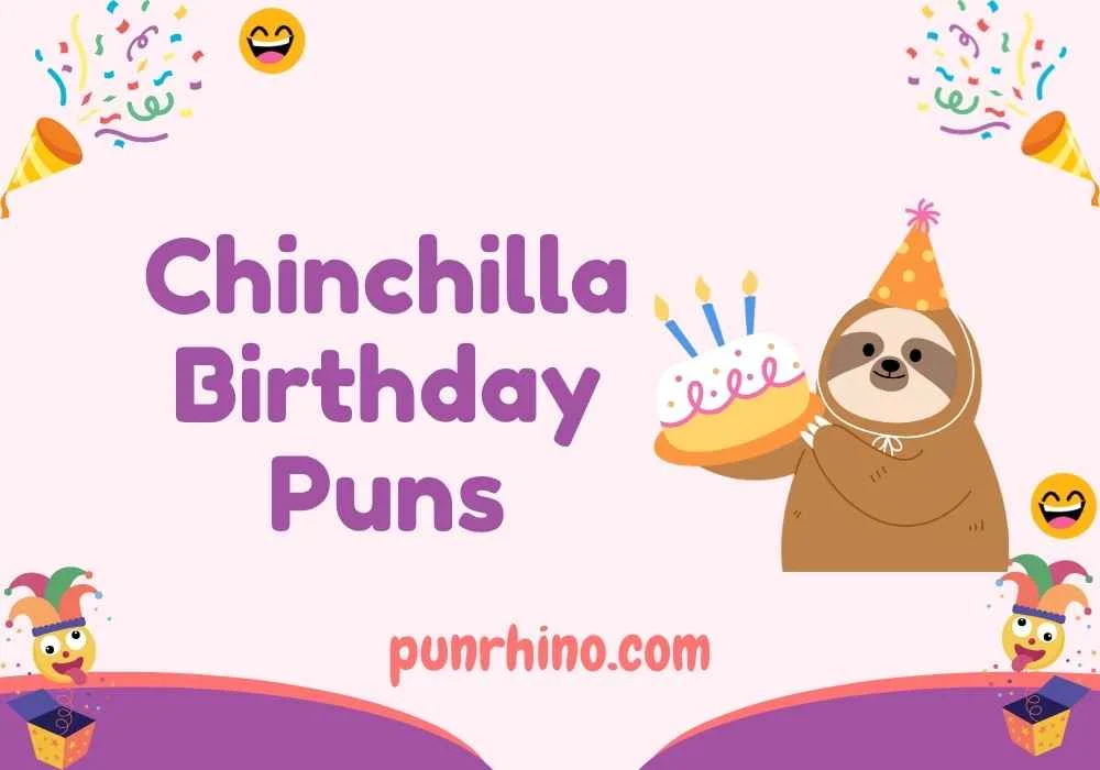 Chinchilla Birthday Puns