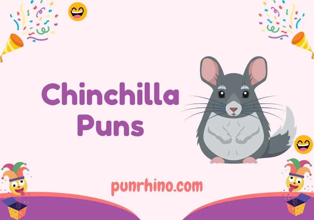 Chinchilla Puns