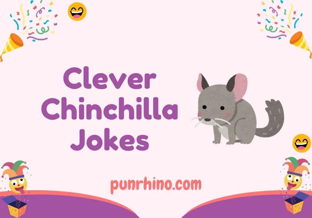 Clever Chinchilla Jokes