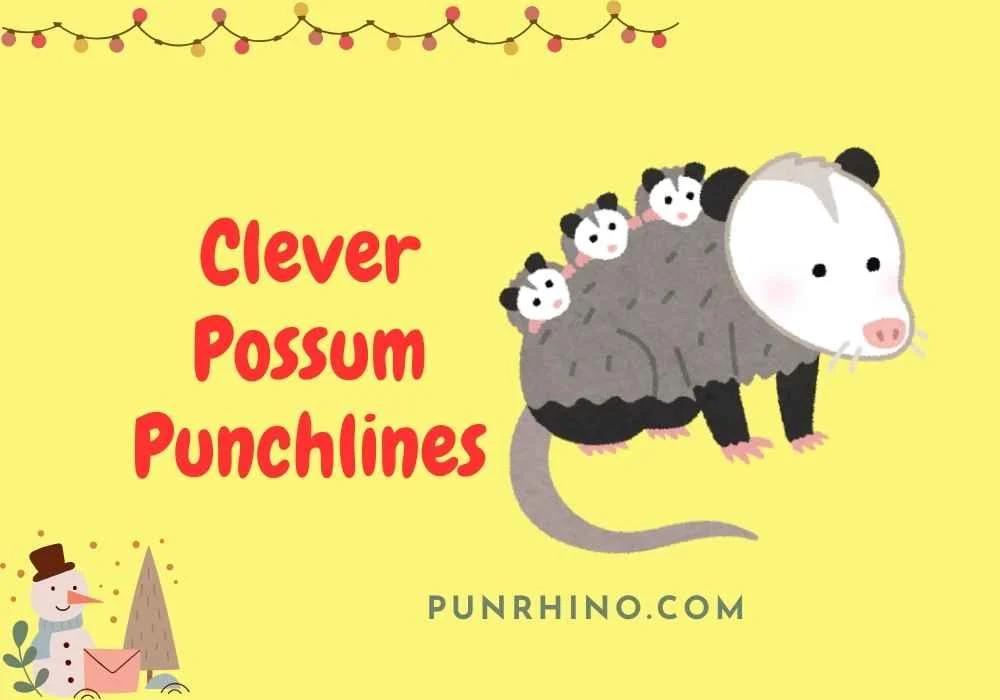 Clever Possum Punchlines