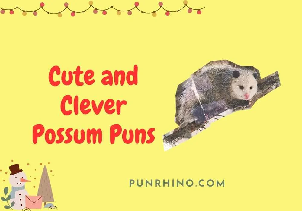 Cute and Clever Possum Puns