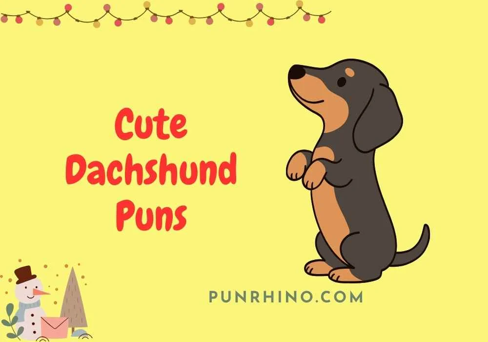 Cute Dachshund Puns