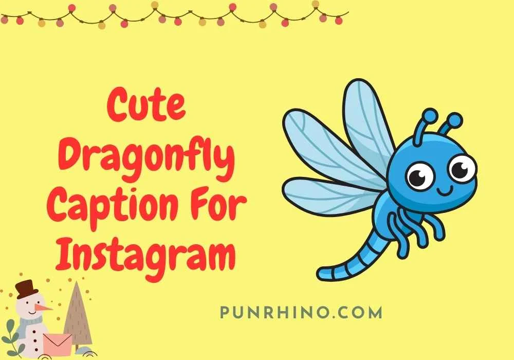 Cute Dragonfly Caption For Instagram