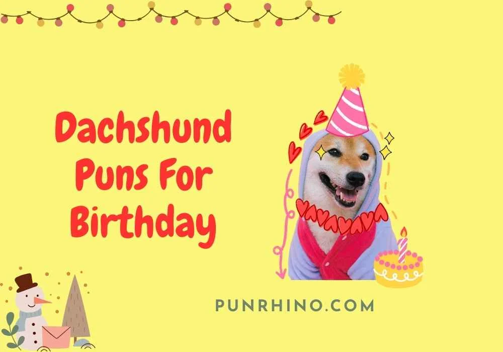 Dachshund Puns For Birthday