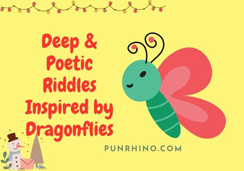 Deep & Poetic Riddles Inspired by Dragonflies