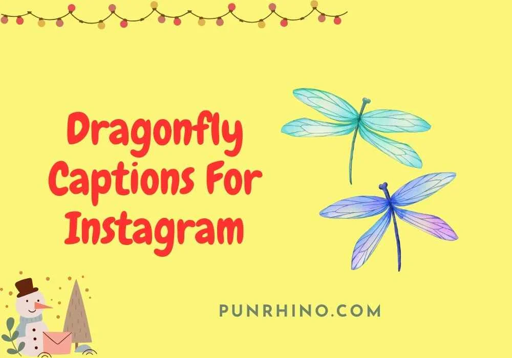 Dragonfly Captions For Instagram
