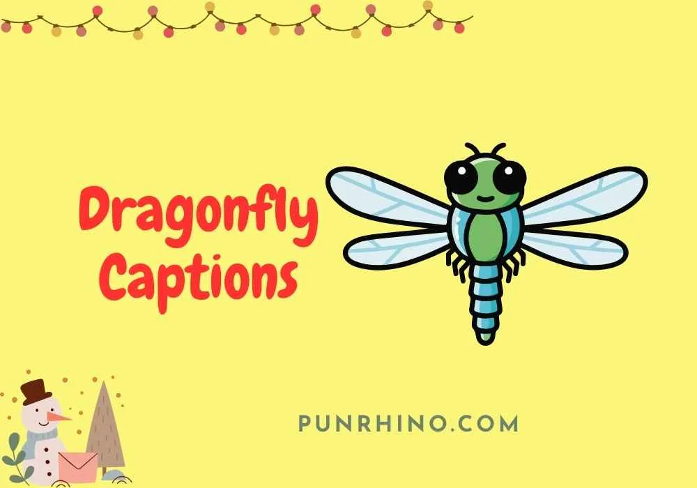 Dragonfly Captions