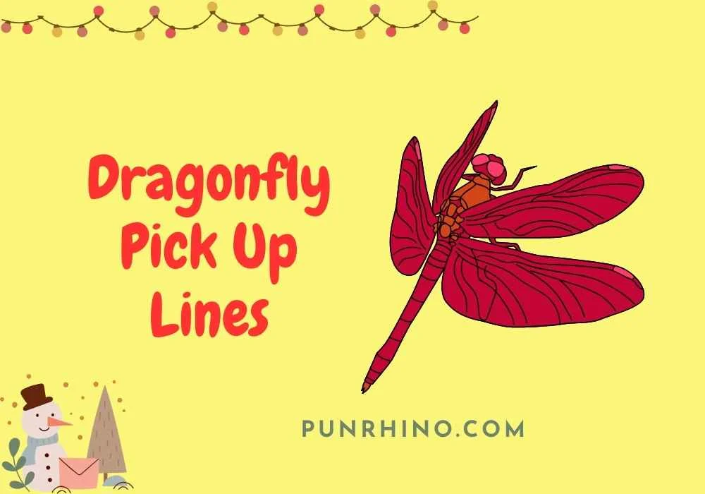 Dragonfly Pick Up Lines