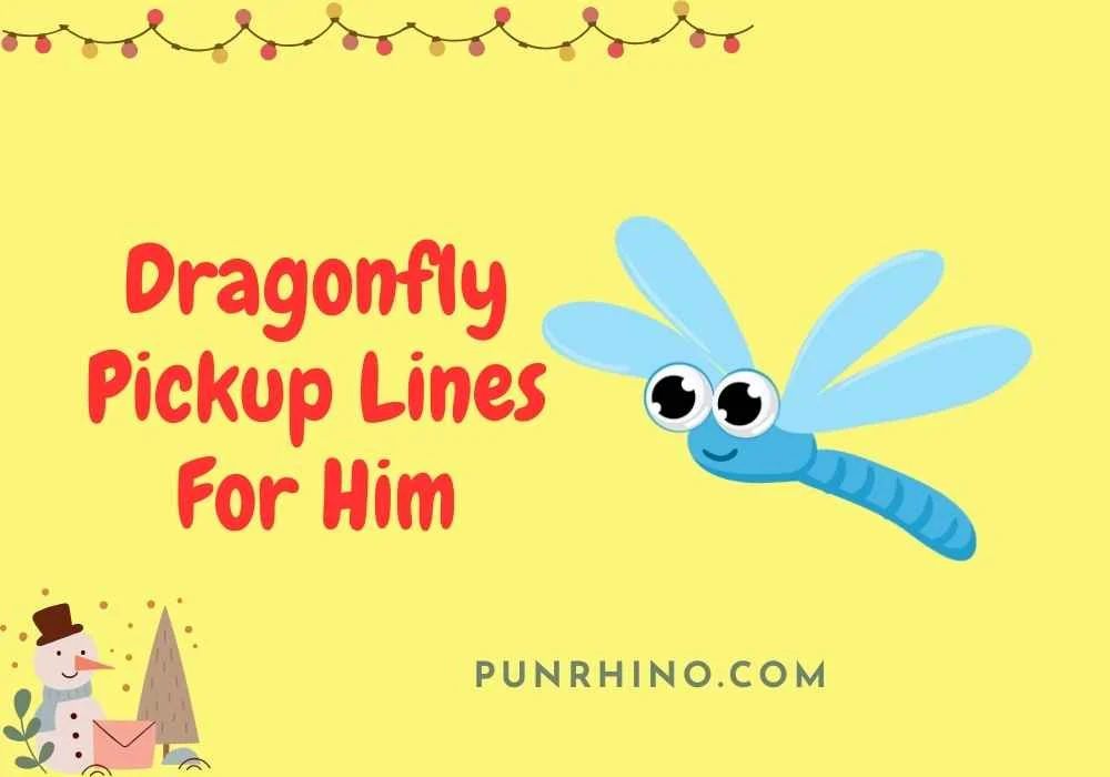 Dragonfly Pickup Lines For Him