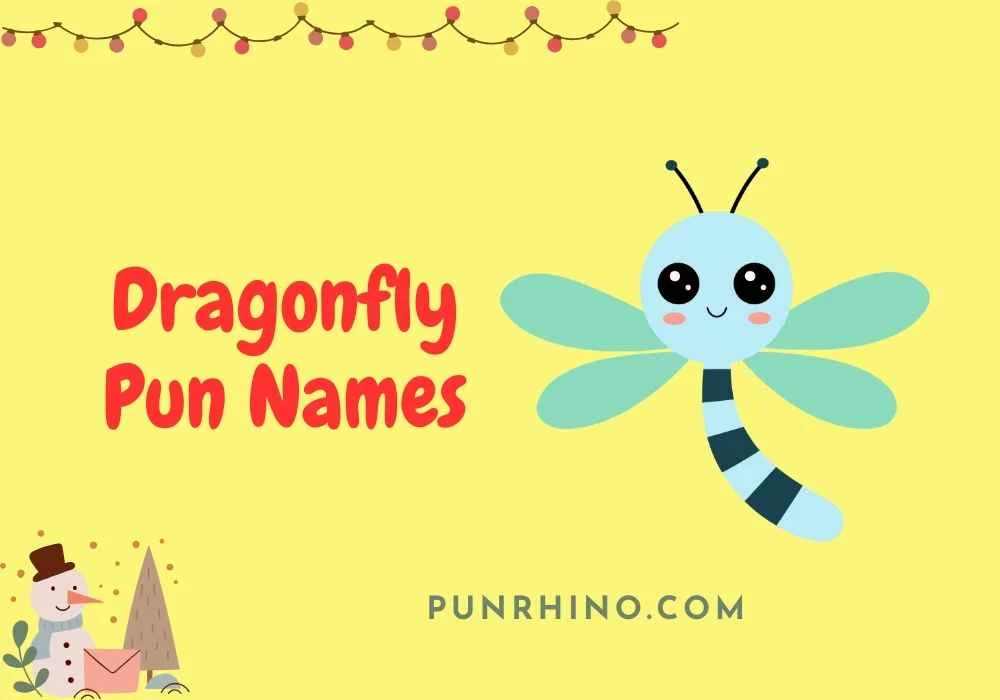 Dragonfly Pun Names