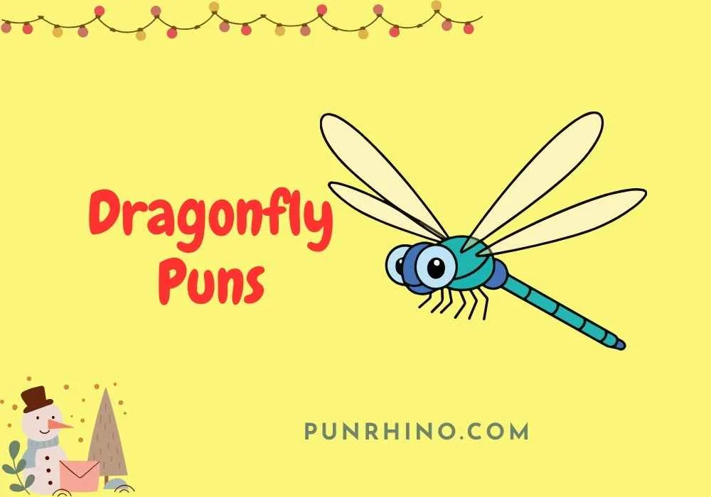 Dragonfly Puns