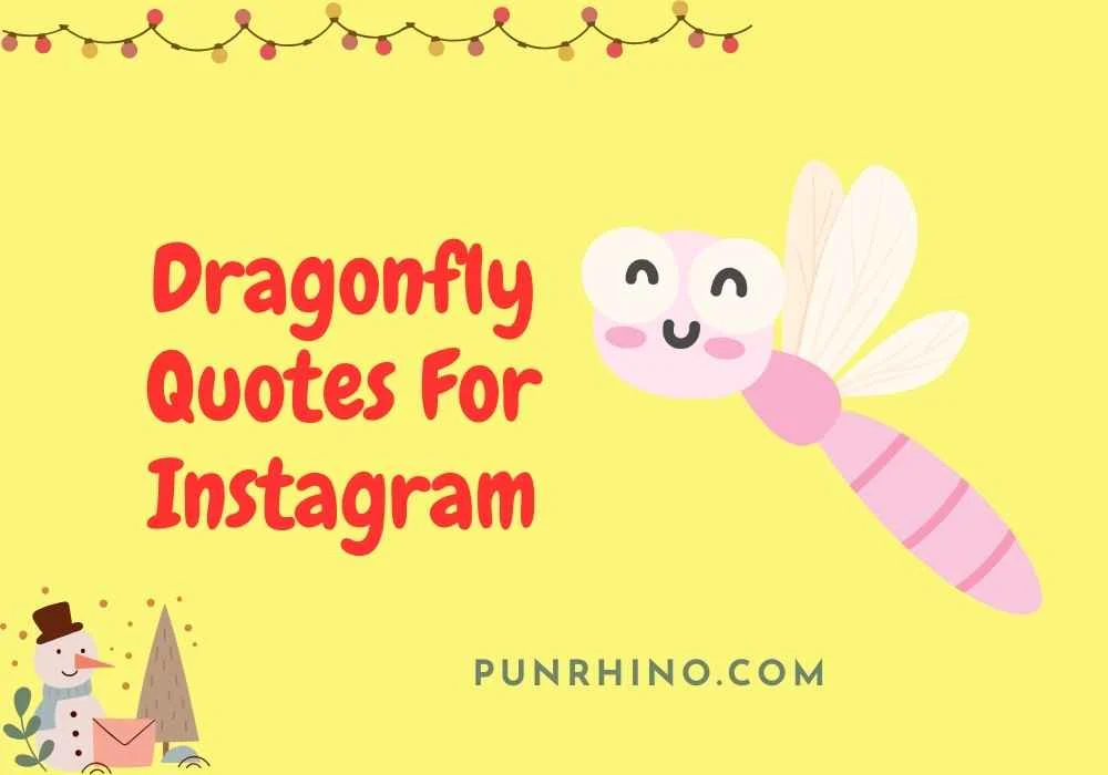 Dragonfly Quotes For Instagram