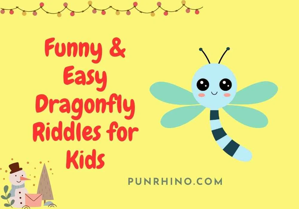 Funny & Easy Dragonfly Riddles for Kids
