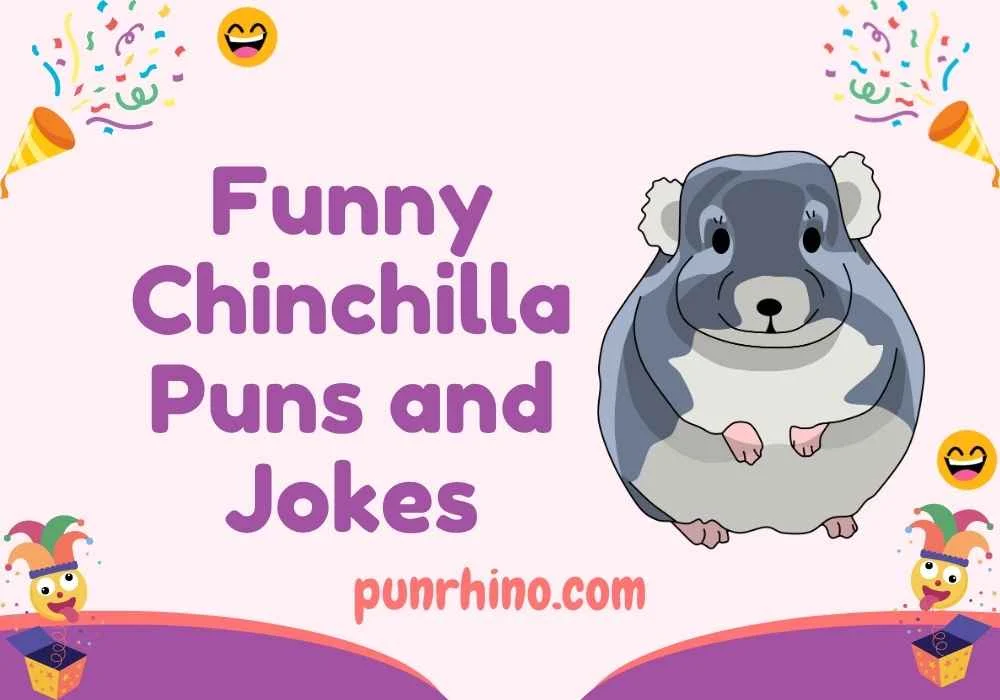 Funny Chinchilla Puns and Jokes