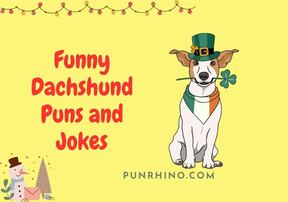 Funny Dachshund Puns and Jokes