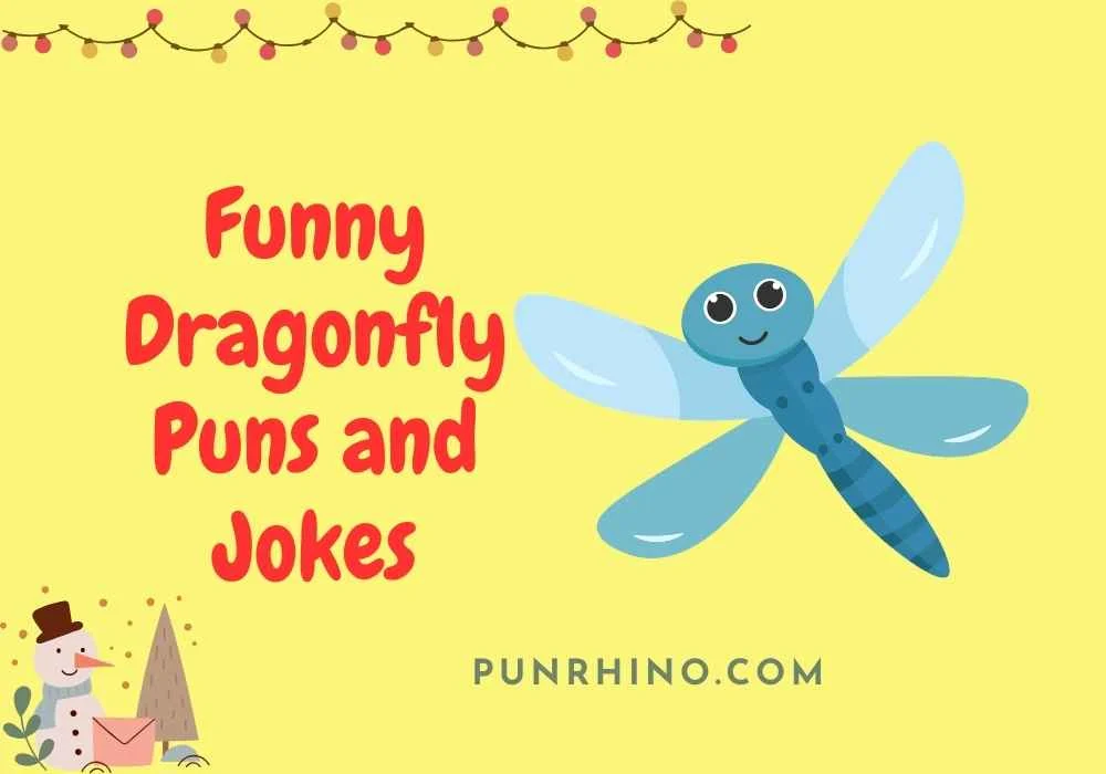 Funny Dragonfly Puns and Jokes