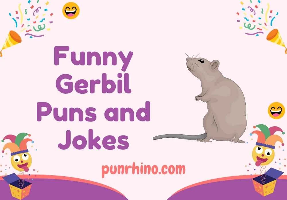 Funny Gerbil Puns and Jokes
