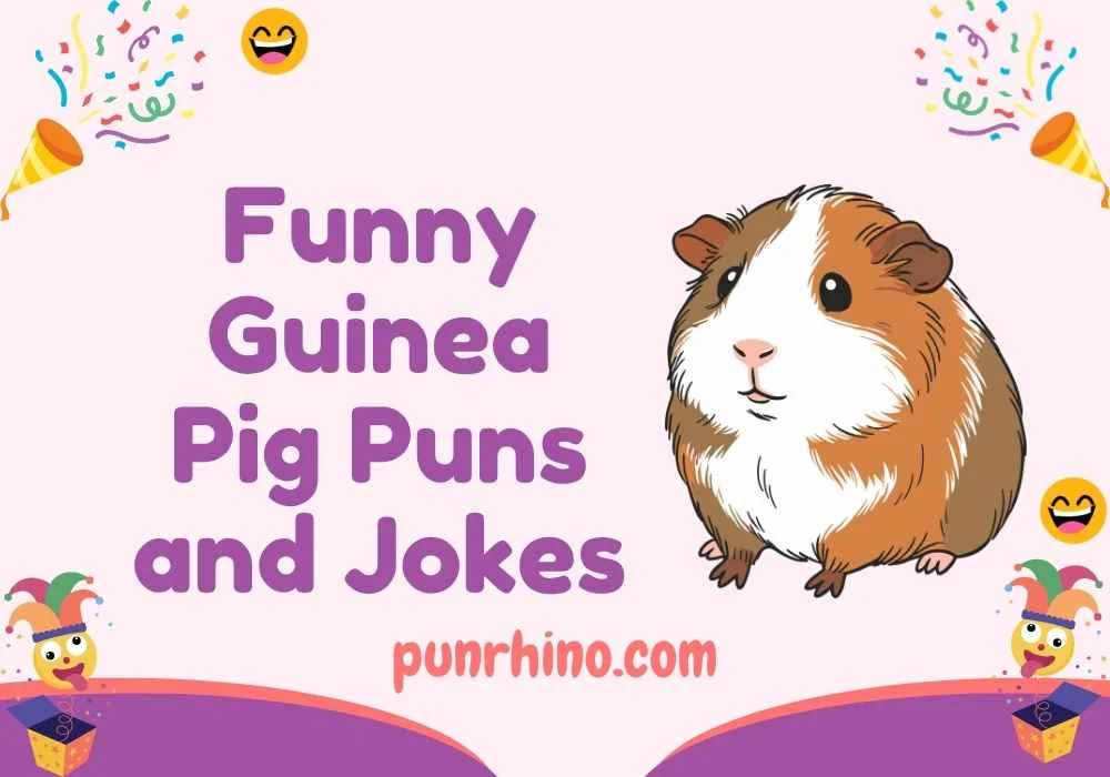 Funny Guinea Pig Puns and Jokes