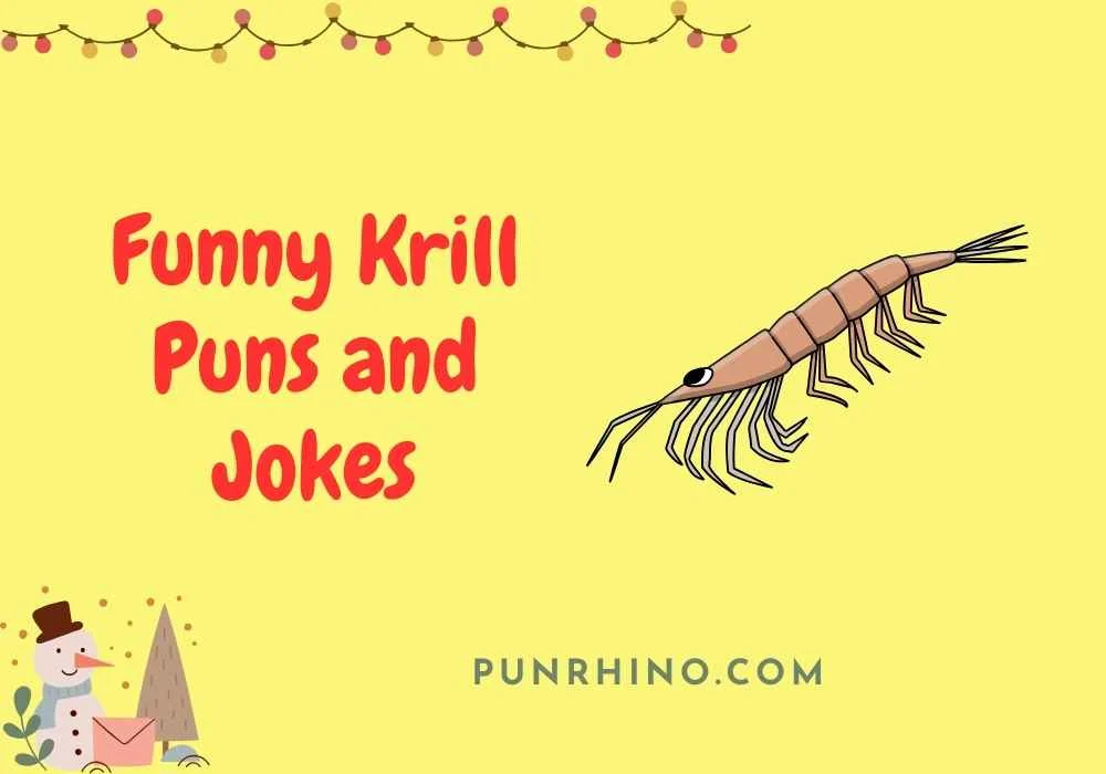Funny Krill Puns and Jokes