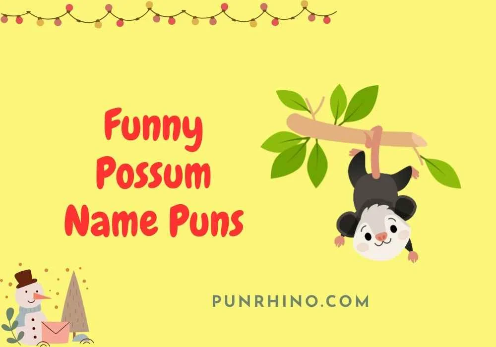 Funny Possum Name Puns