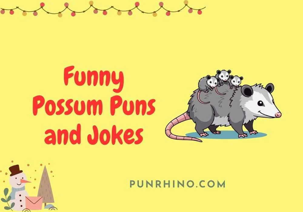 Funny Possum Puns and Jokes