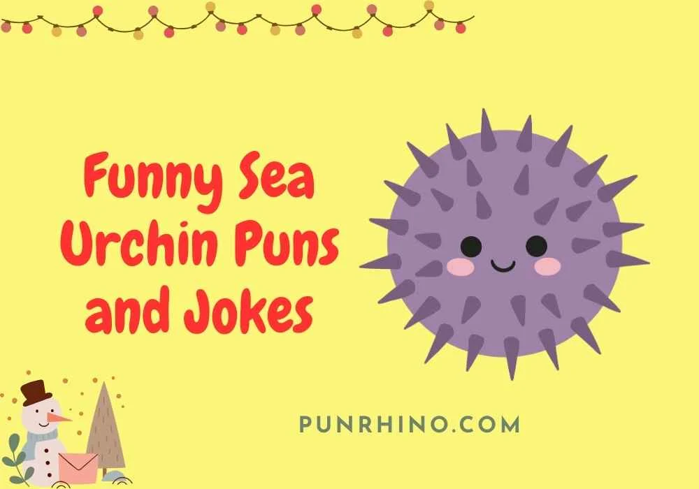 Funny Sea Urchin Puns and Jokes
