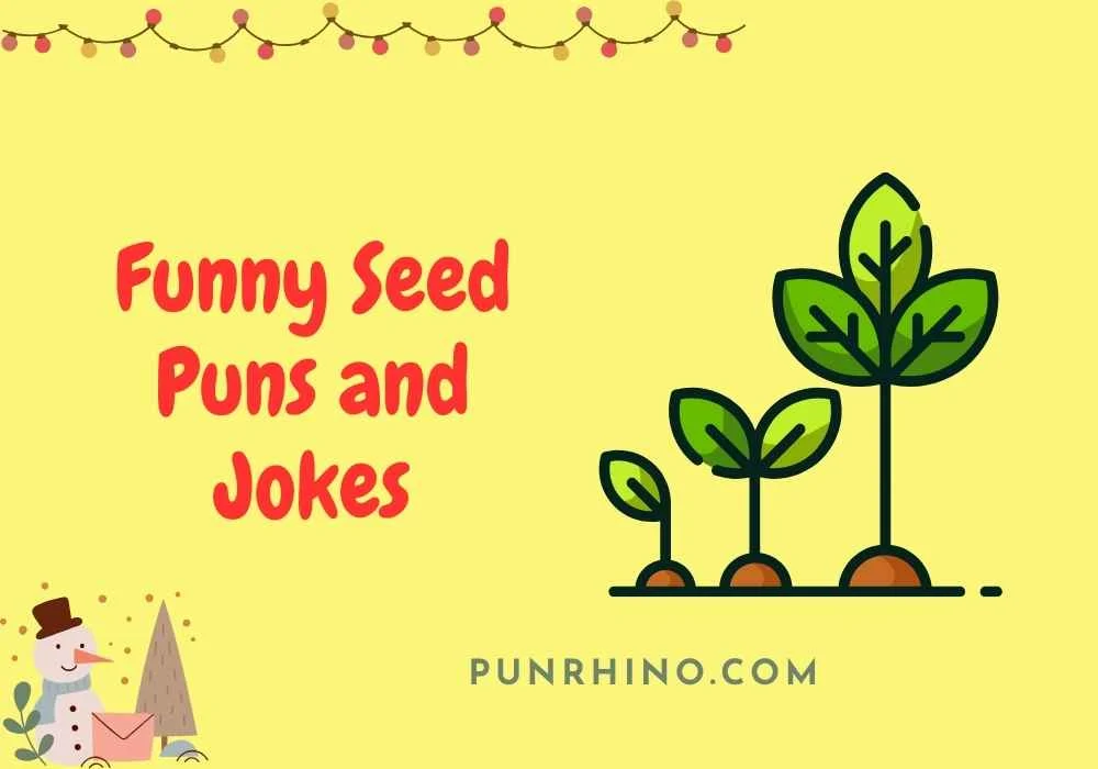 Funny Seed Puns and Jokes