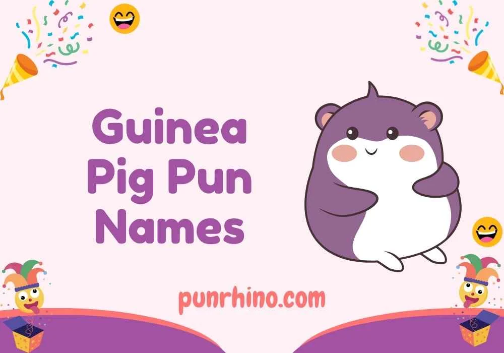 Guinea Pig Pun Names