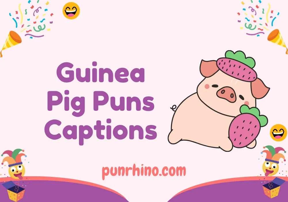 Guinea Pig Puns Captions