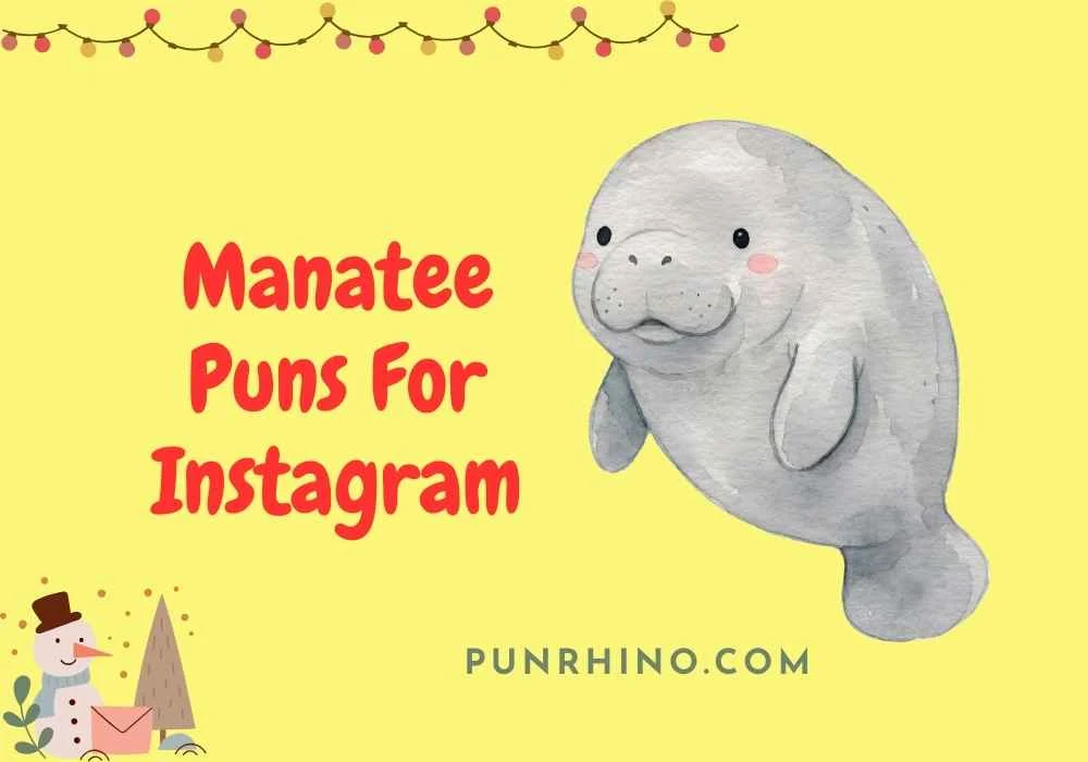 Manatee Puns For Instagram