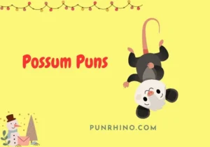 Possum Puns