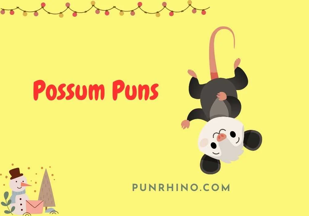 Possum Puns