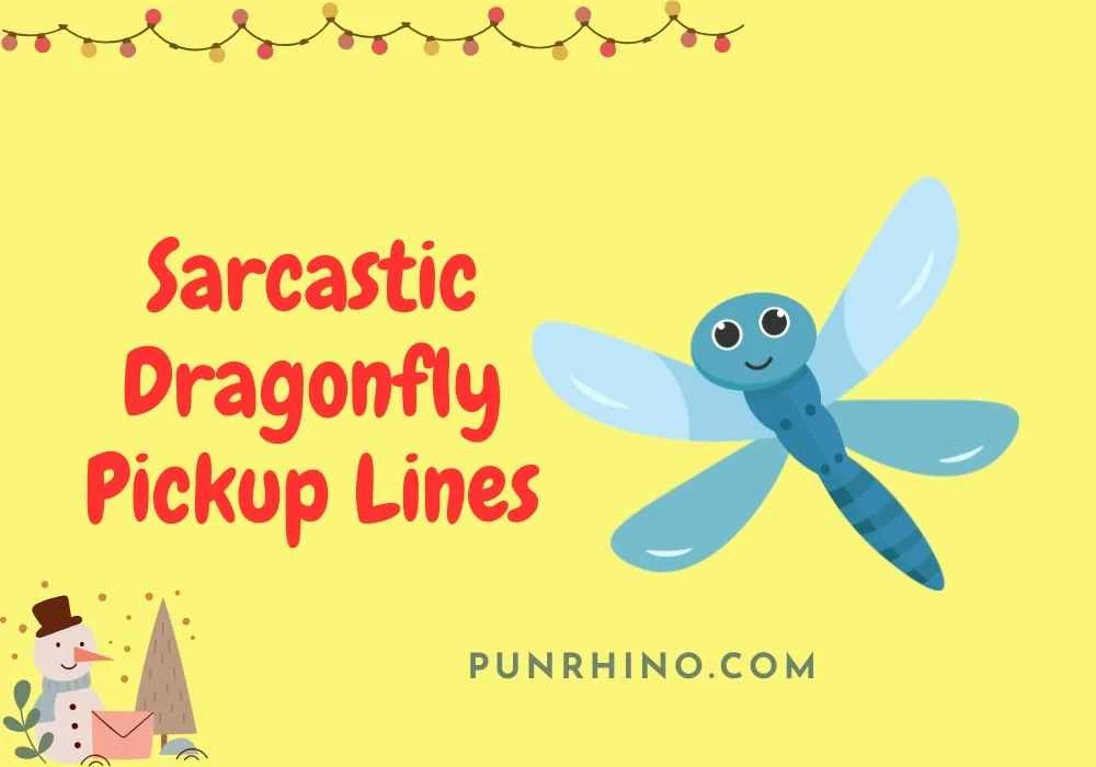 Sarcastic Dragonfly Pickup Lines