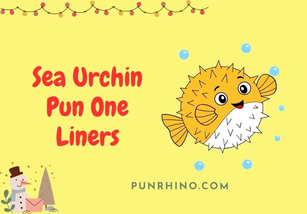 Sea Urchin Pun One Liners