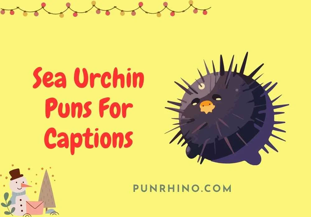 Sea Urchin Puns For Captions