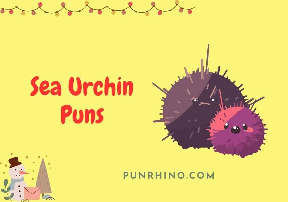Sea Urchin Puns