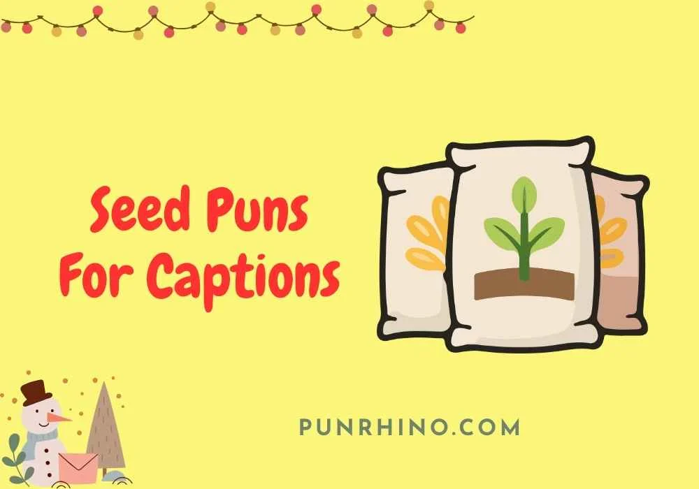 Seed Puns For Captions