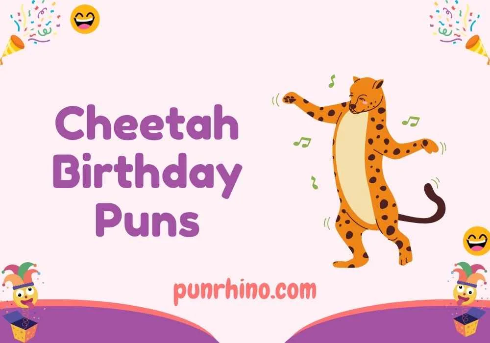 Cheetah Birthday Puns