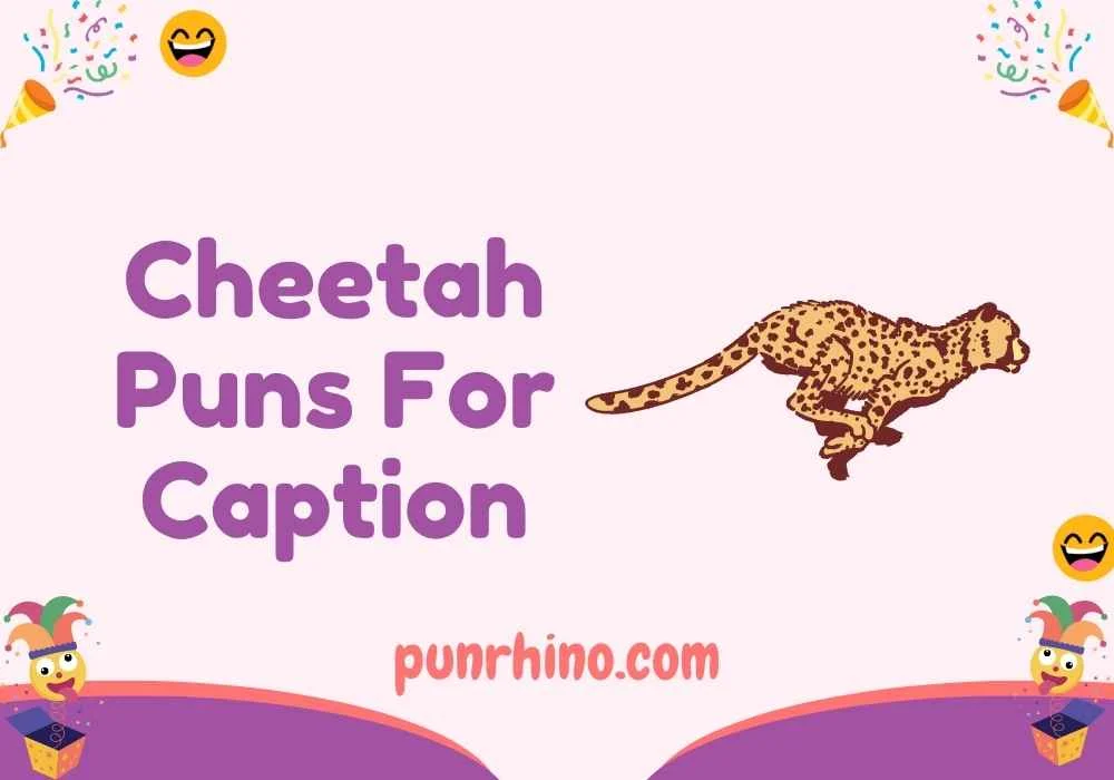 Cheetah Puns For Caption