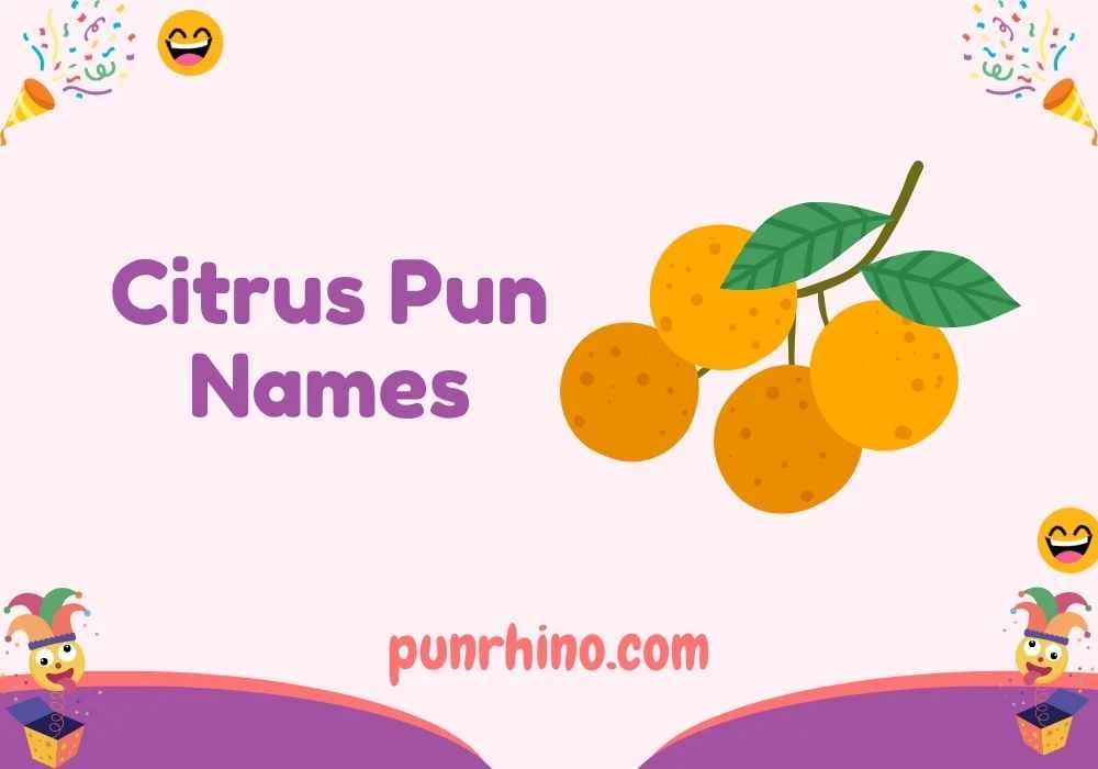 Citrus Pun Names