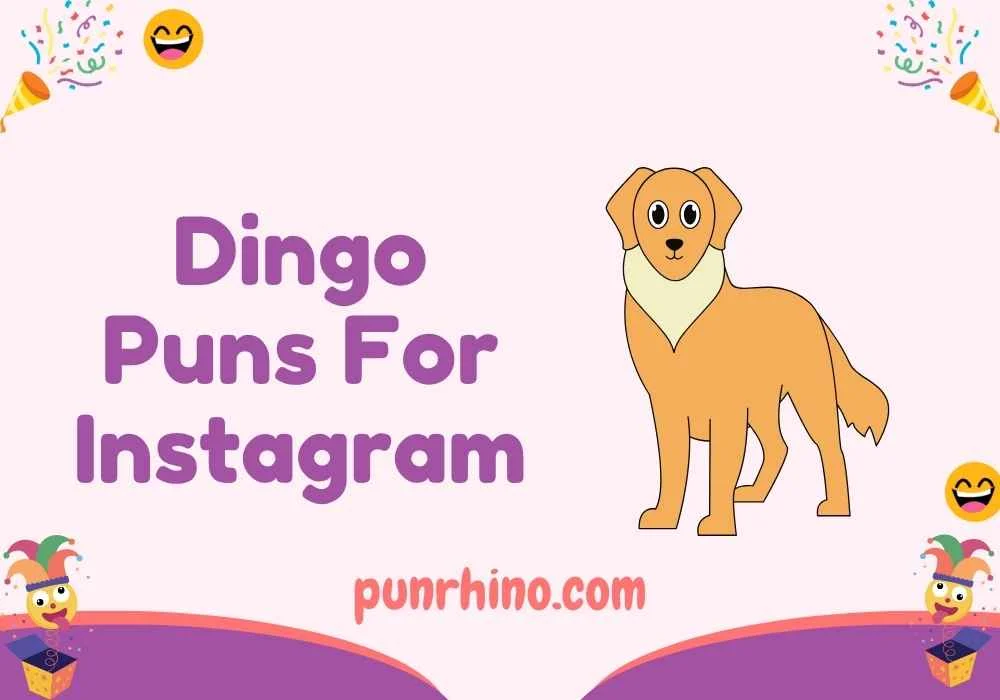 Dingo Puns For Instagram